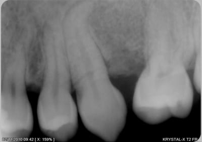 Canine fr0kru - Eugenol