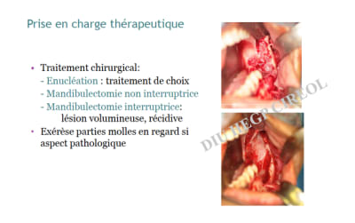 Capture d  cran 2012 07 12   13.48 - Eugenol