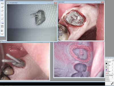 Capture d écran 2017 03 20 13.19 - Eugenol