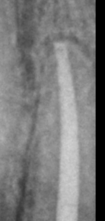 Capture d e cran 2015 09 22 17.57 - Eugenol