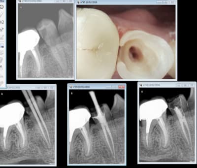 Capture d e cran 2016 02 10 10.04 - Eugenol
