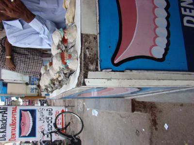 Dsc00388 y7qose - Eugenol