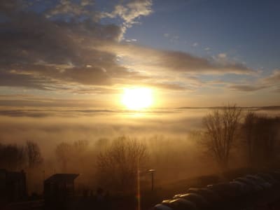 Dsc00402   copie wg3ptc - Eugenol