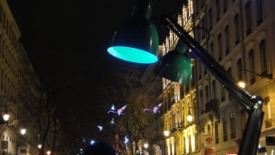 Dsc01194 rfqroj - Eugenol