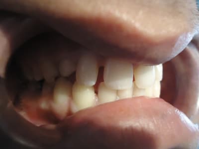 Dsc03975 atzscb - Eugenol