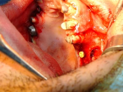 Dsc05404 dcl4jl - Eugenol