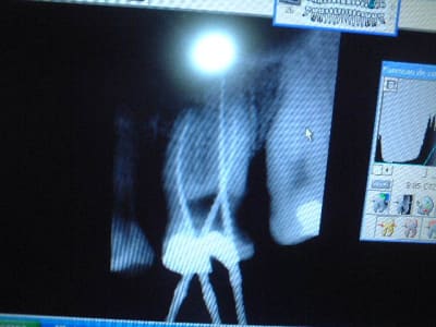 Dscf0100 etolty - Eugenol