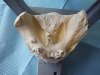 Dscf0355 hlv26i - Eugenol