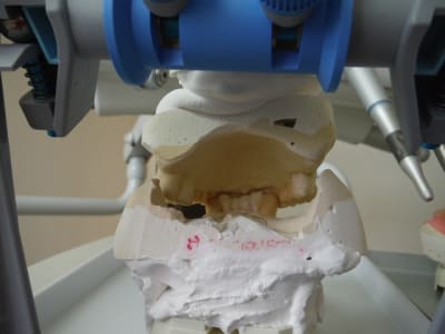 Dscf0448 arnp1l - Eugenol