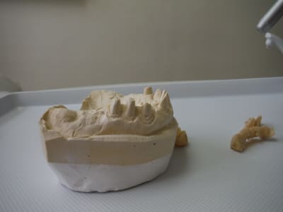 Dscf0454 t1sfes - Eugenol