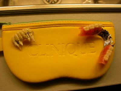 Dscn6959 ab5faj - Eugenol