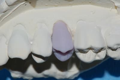 Dsc 0002 rdnvh5 - Eugenol