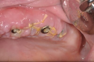 Dsc 0003 nilmsq - Eugenol