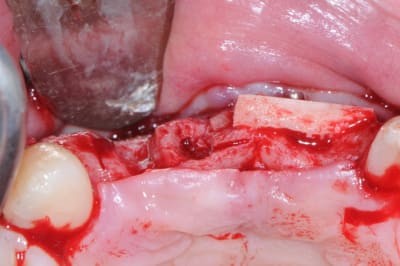 Dsc 0225 yrwjoj - Eugenol