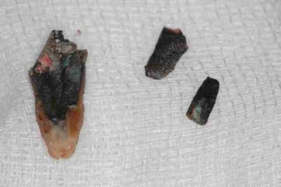 Dsc 0363romdom udseza - Eugenol