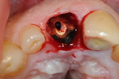 Dsc 0482 eccuco - Eugenol