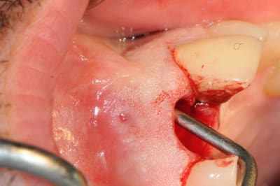 Dsc 0489 rz4u2t - Eugenol