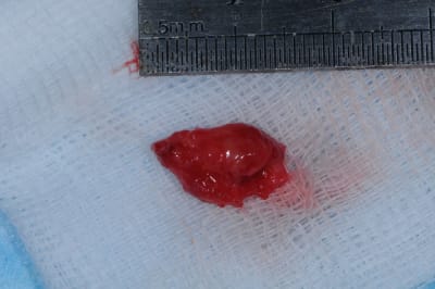 Dsc 0857 gmhyjs - Eugenol