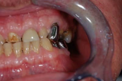 Dsc 1205  1024x768  wyfnsp - Eugenol