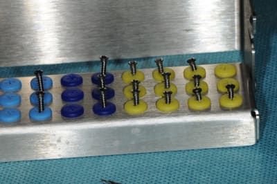 Dsc 1394 rbjsyp - Eugenol