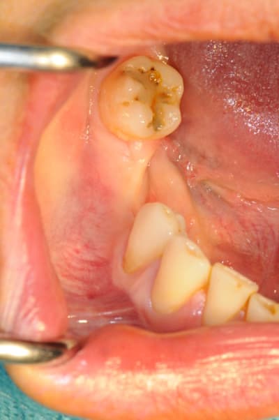 Dsc 1397 tujesz - Eugenol