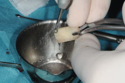 Dsc 1590 koy21w - Eugenol