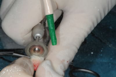 Dsc 1594 qkdj9o - Eugenol