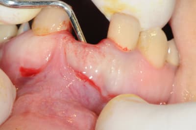 Dsc 1699 htj8my - Eugenol