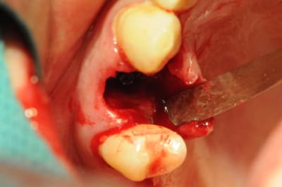 Dsc 2559 rzyjzm - Eugenol