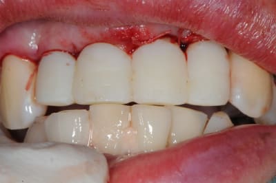 Dsc 3026 cohebu - Eugenol