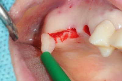 Dsc 3562 vizro6 - Eugenol