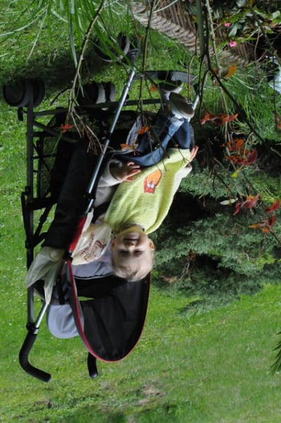 Dsc 3745 q8qr4p - Eugenol