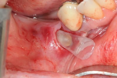 Dsc 3817 imjlk6 - Eugenol