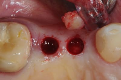 Dsc 4214 gesujq - Eugenol