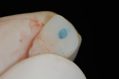 Dsc 4285 mmdqev - Eugenol