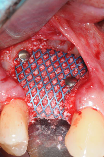 Dsc 5067 wmjqrl - Eugenol