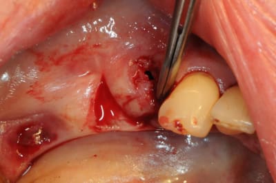 Dsc 5499 byynnm - Eugenol