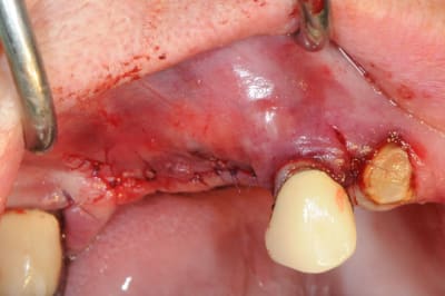 Dsc 5615 l3arsj - Eugenol
