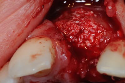 Dsc 5977 vddkfi - Eugenol