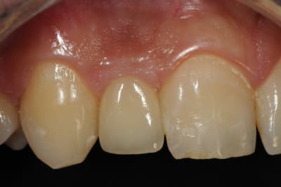 Dsc 6569 mox1g8 - Eugenol