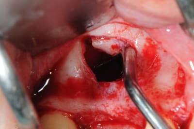 Dsc 7178 vnu9x8 - Eugenol