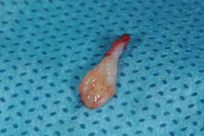 Dsc 8454 k2gl1v - Eugenol