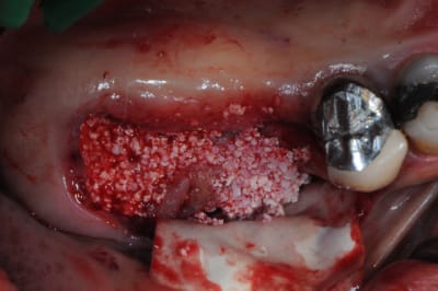 Dsc 8459 r62ipj - Eugenol