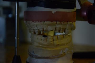 Dsc 8848 ibvbnl - Eugenol