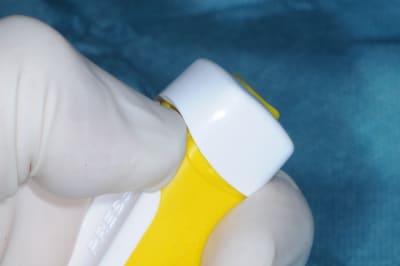 Dsc 9271 u86v4h - Eugenol