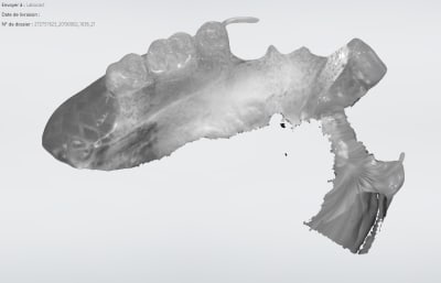 Duss2 rpbyry - Eugenol