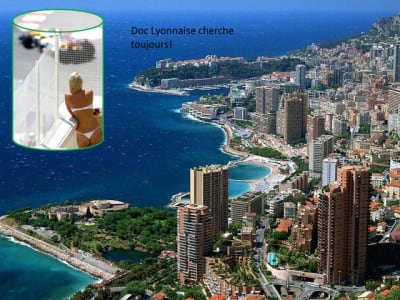 Diapositive2 x1zbps - Eugenol