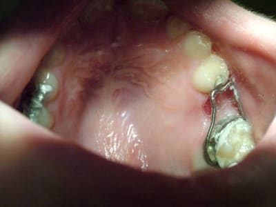 Dscf0538 vgoriy - Eugenol