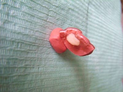 Dscf1265 gjhwew - Eugenol