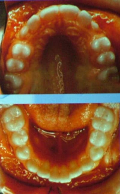 Dscf1713 o599gv - Eugenol
